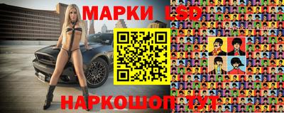 крисы Дубна