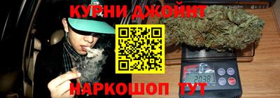 крисы Дубна